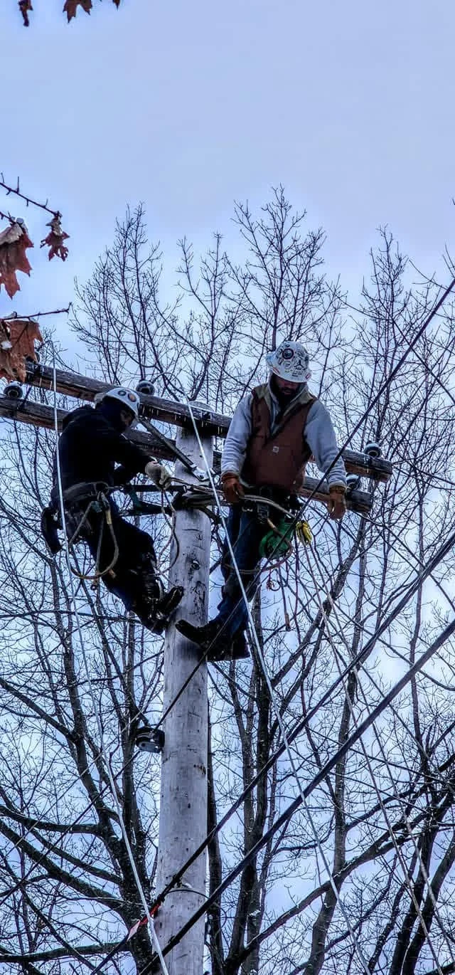 Overhead linework in the field